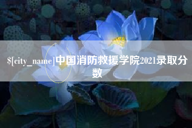 资阳中国消防救援学院2021录取分数
