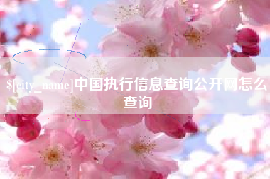 资阳中国执行信息查询公开网怎么查询