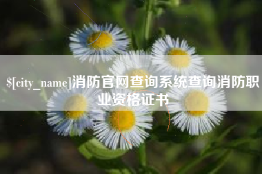 资阳消防官网查询系统查询消防职业资格证书