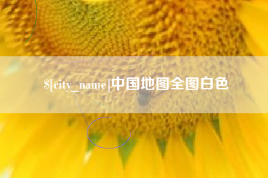 资阳中国地图全图白色