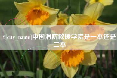 资阳中国消防救援学院是一本还是二本