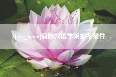 资阳消防救援学院报考条件
