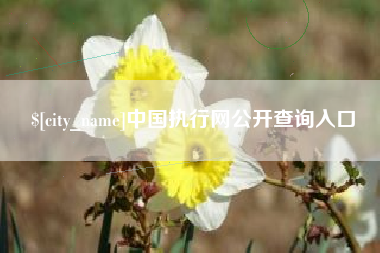 资阳中国执行网公开查询入口