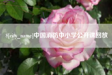 资阳中国消防中小学公开课回放