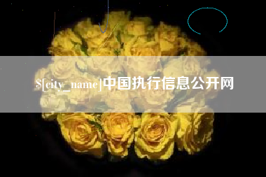 资阳中国执行信息公开网