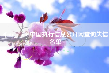资阳中国执行信息公开网查询失信名单