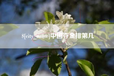 资阳中国夺金排第几