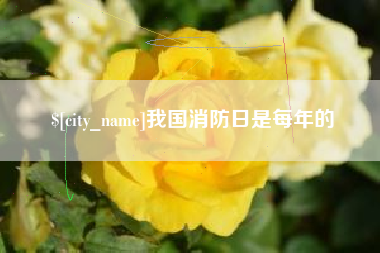 资阳我国消防日是每年的