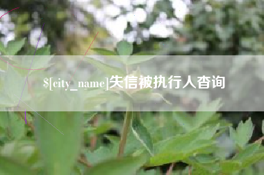 资阳失信被执行人杳询