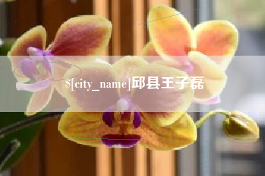 资阳邱县王子磊