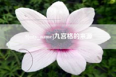 资阳九宫格的来源