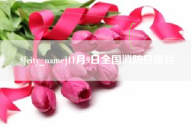 资阳11月9日全国消防日图片
