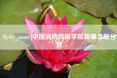 资阳中国消防救援学院新疆录取分数