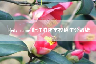资阳浙江消防学校招生分数线