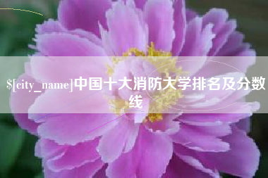 资阳中国十大消防大学排名及分数线