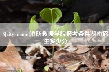 资阳消防救援学院报考条件湖南招生多少分