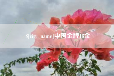 资阳中国金牌18金