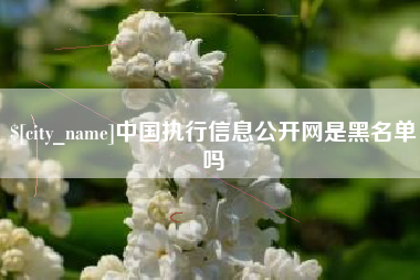 资阳中国执行信息公开网是黑名单吗