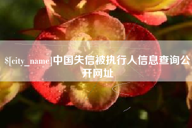 资阳中国失信被执行人信息查询公开网址
