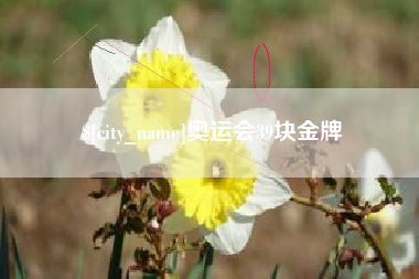 资阳奥运会39块金牌