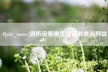 资阳消防设施操作员证书查询网址