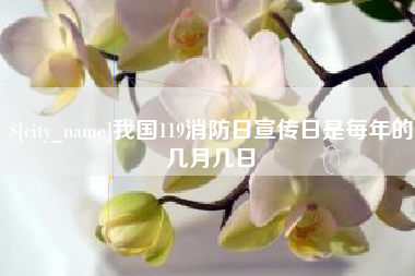 资阳我国119消防日宣传日是每年的几月几日