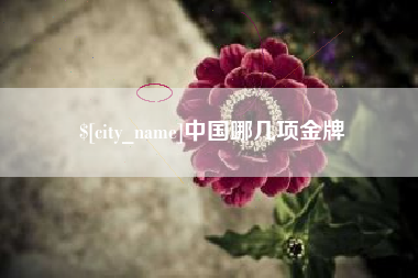资阳中国哪几项金牌