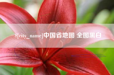 资阳中国省地图 全图黑白