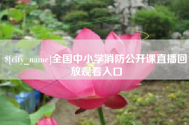 资阳全国中小学消防公开课直播回放观看入口