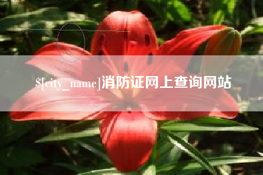 资阳消防证网上查询网站