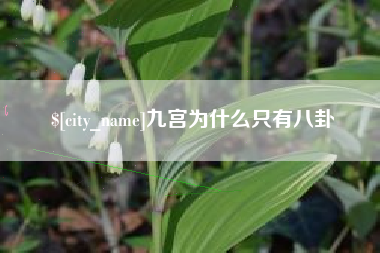 资阳九宫为什么只有八卦