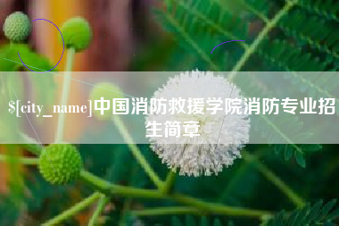 资阳中国消防救援学院消防专业招生简章