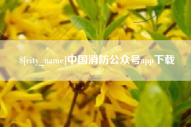 资阳中国消防公众号app下载