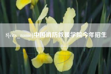 资阳中国消防救援学院今年招生
