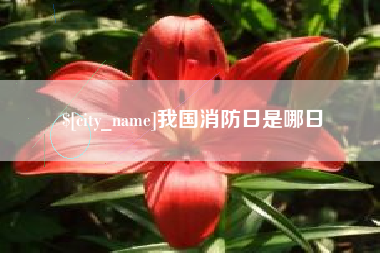 资阳我国消防日是哪日
