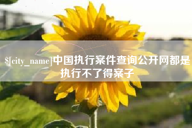 资阳中国执行案件查询公开网都是执行不了得案子