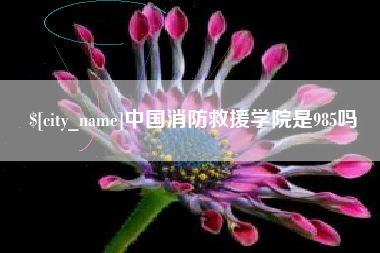 资阳中国消防救援学院是985吗