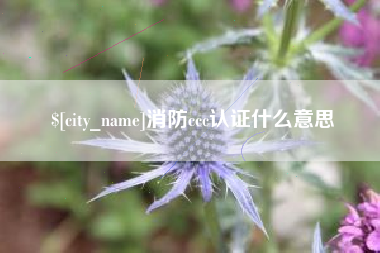 资阳消防ccc认证什么意思