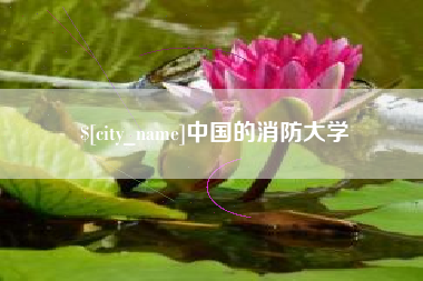 资阳中国的消防大学