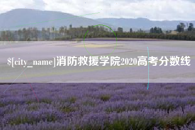 资阳消防救援学院2020高考分数线