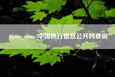 资阳中国执行信息公开网查询
