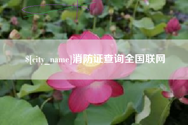 资阳消防证查询全国联网