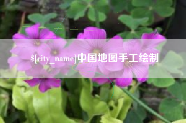 资阳中国地图手工绘制