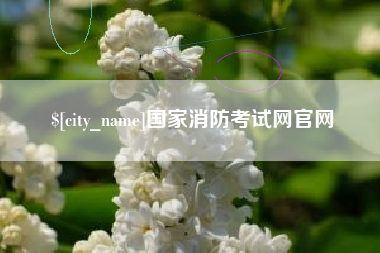 资阳国家消防考试网官网