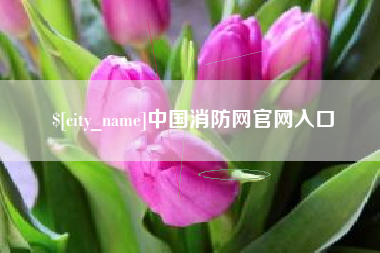 资阳中国消防网官网入口