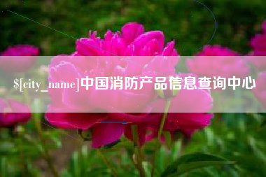 资阳中国消防产品信息查询中心