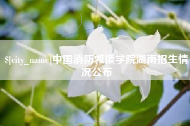 资阳中国消防救援学院湖南招生情况公布