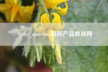 资阳ccc消防产品查询网