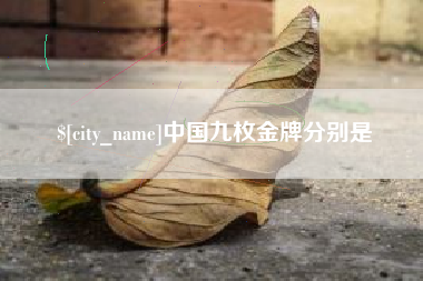 资阳中国九枚金牌分别是