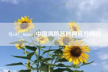 资阳中国消防器材网官方网站